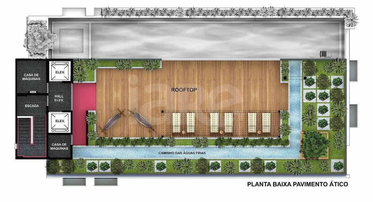 Planta — Pavimento rooftop