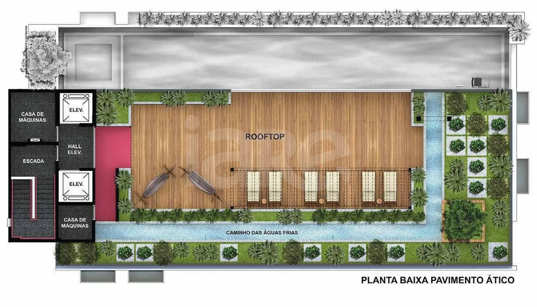 Planta — Pavimento rooftop