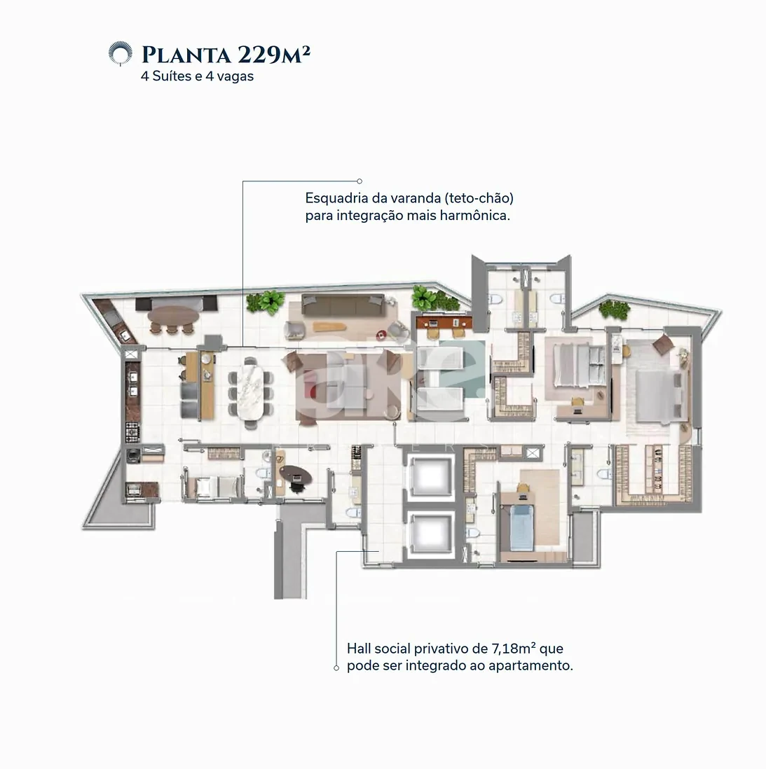 Planta — BS Rubi