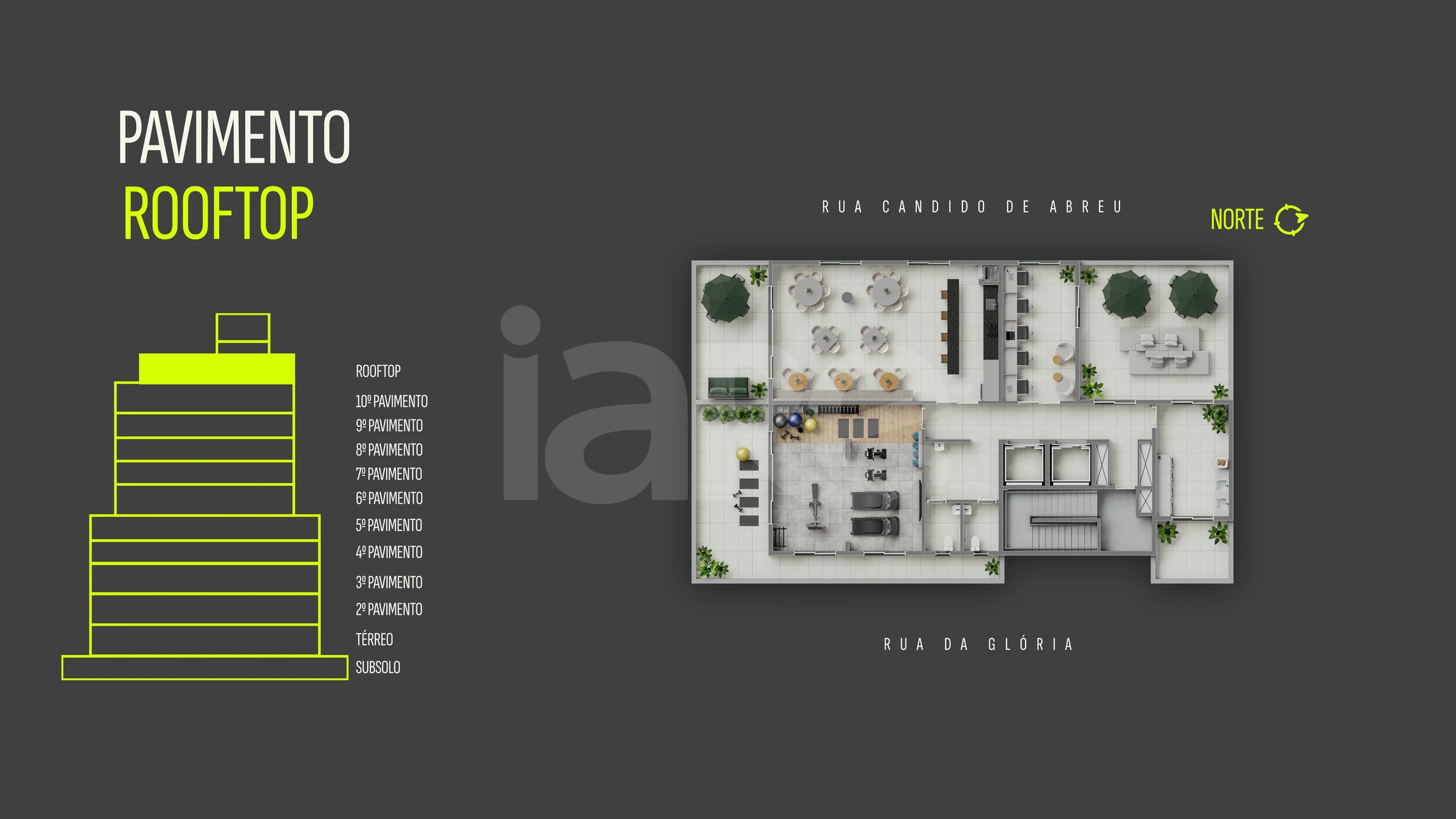 Planta — Rooftop