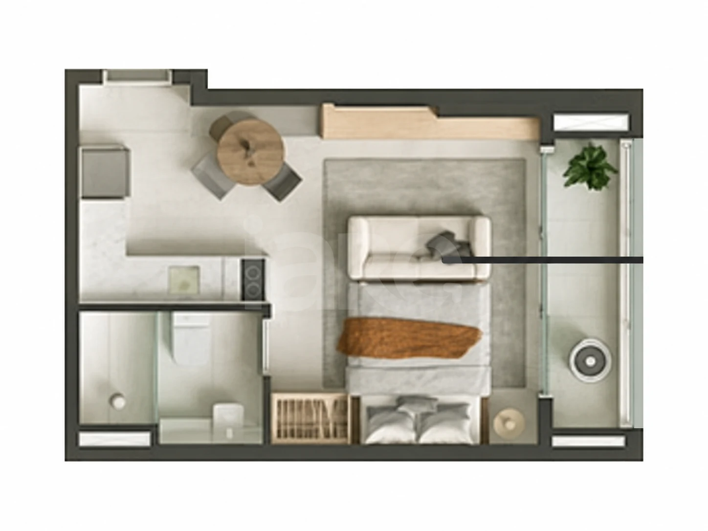 Planta — Studio