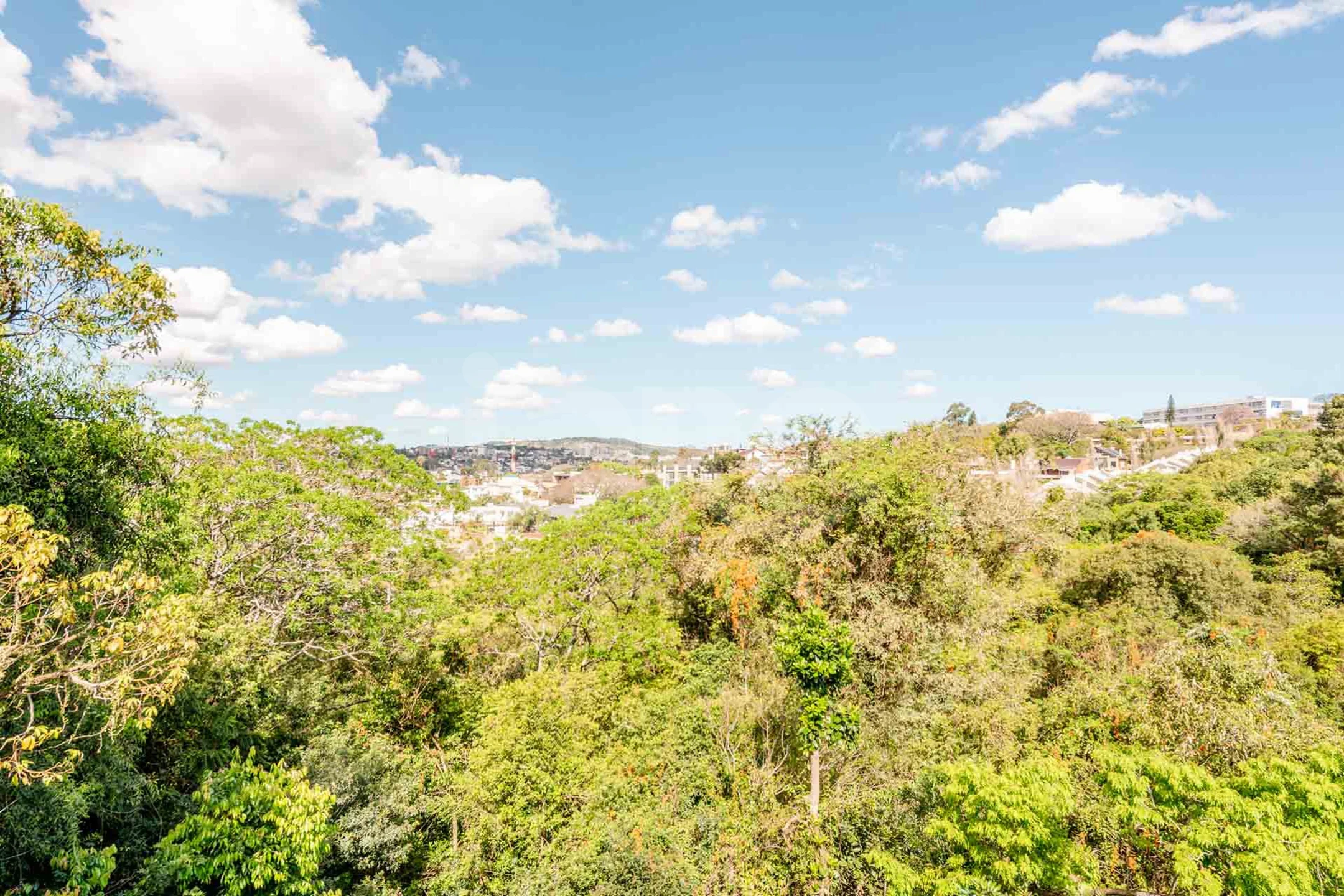 Las Piedras Apto ONE36766 - Apartamento com 478,54 m², em Três Figueiras — foto 22