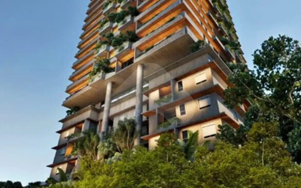 Foto de Alta Floresta