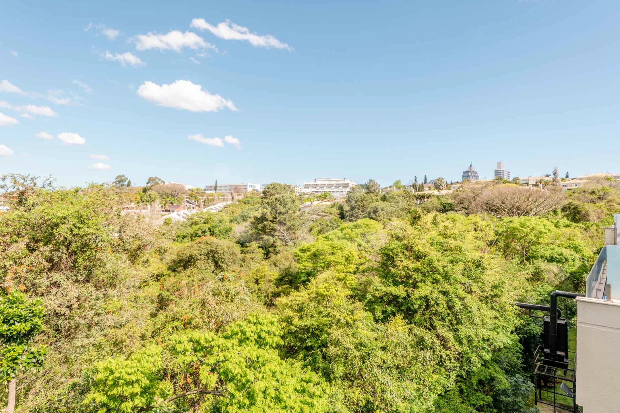 Las Piedras Apto ONE36766 - Apartamento com 478,54 m², em Três Figueiras — foto 23