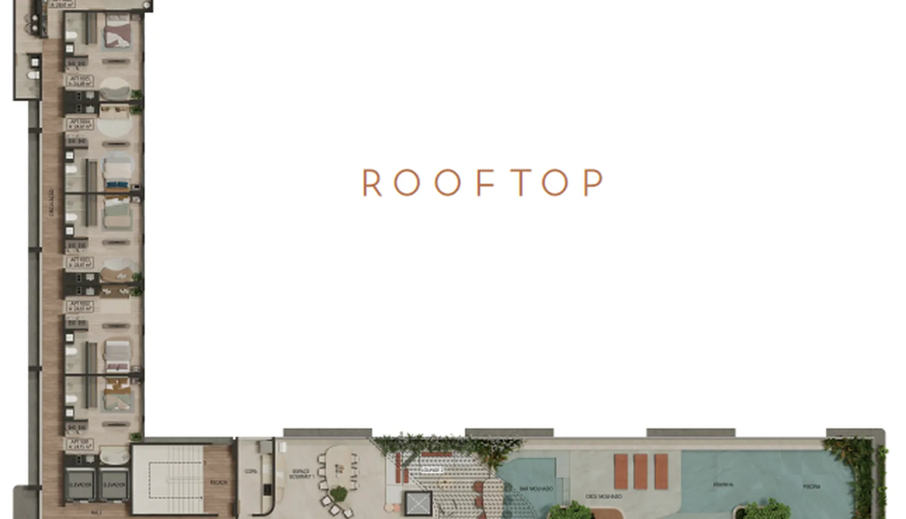 Planta — Pavimento rooftop