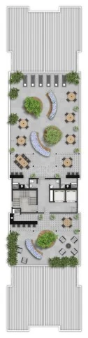 Planta — Pavimento rooftop