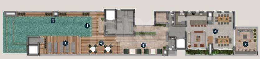 Planta — Rooftop