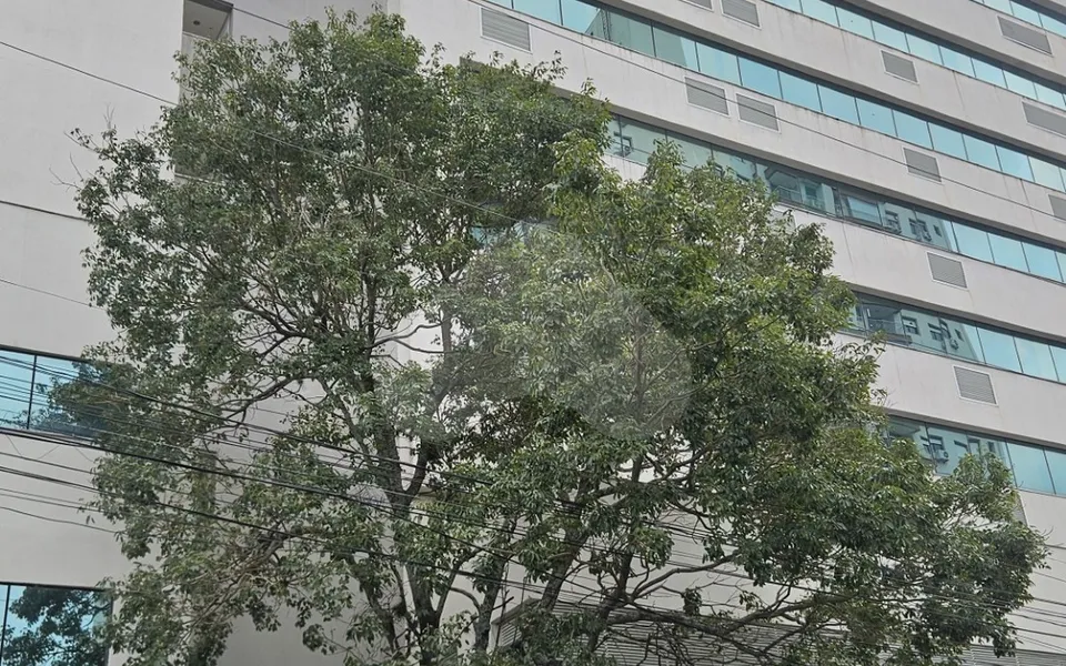 Edifício Neo SuperQuadra Sala 808 - Sala comercial com 45,34 m², em Passo da Areia — foto 2