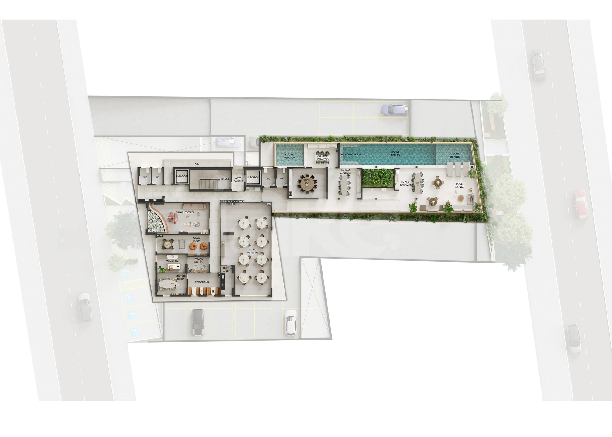 Planta — LAZER