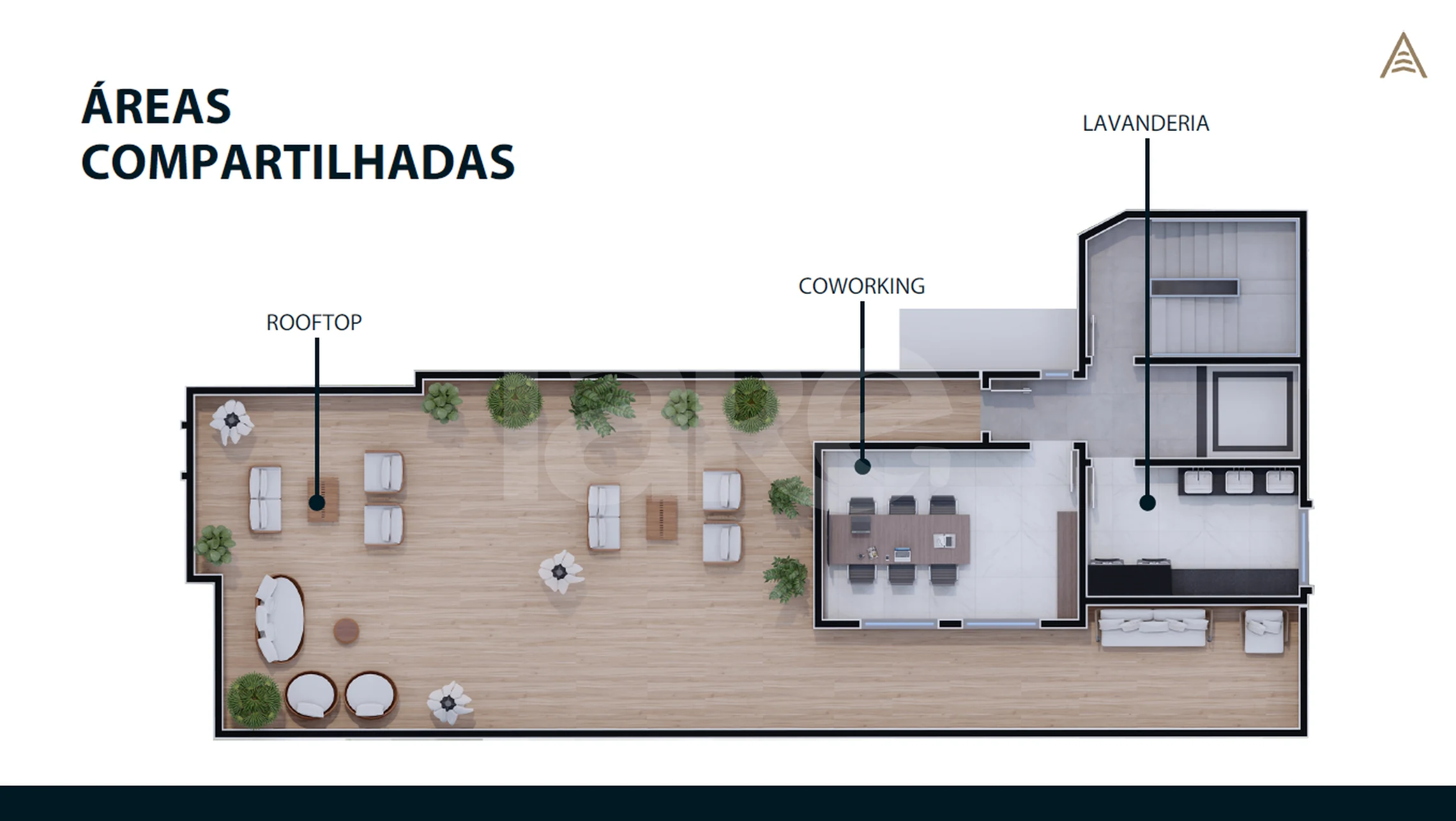 Planta — Pavimento rooftop