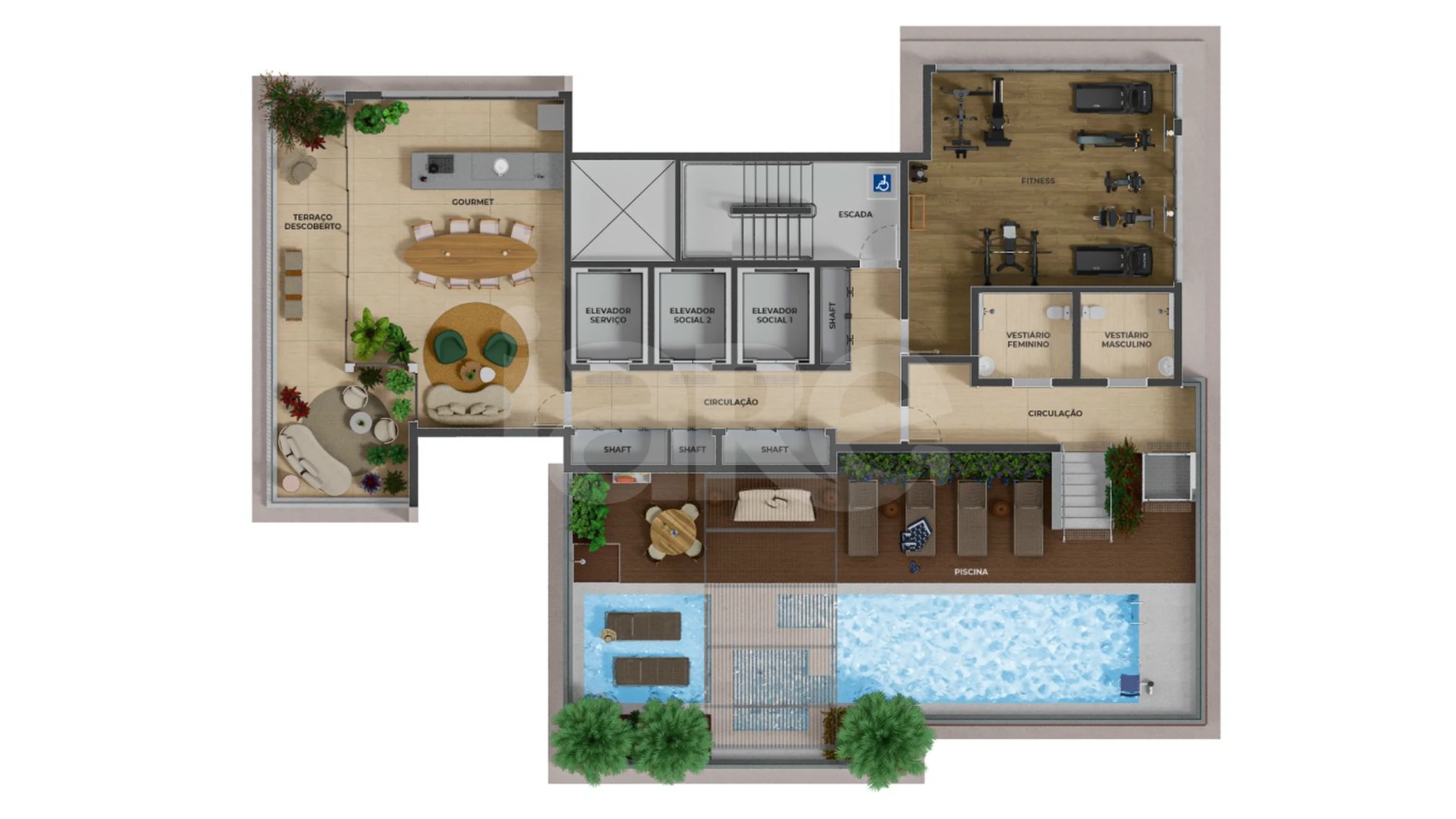 Planta — Rooftop