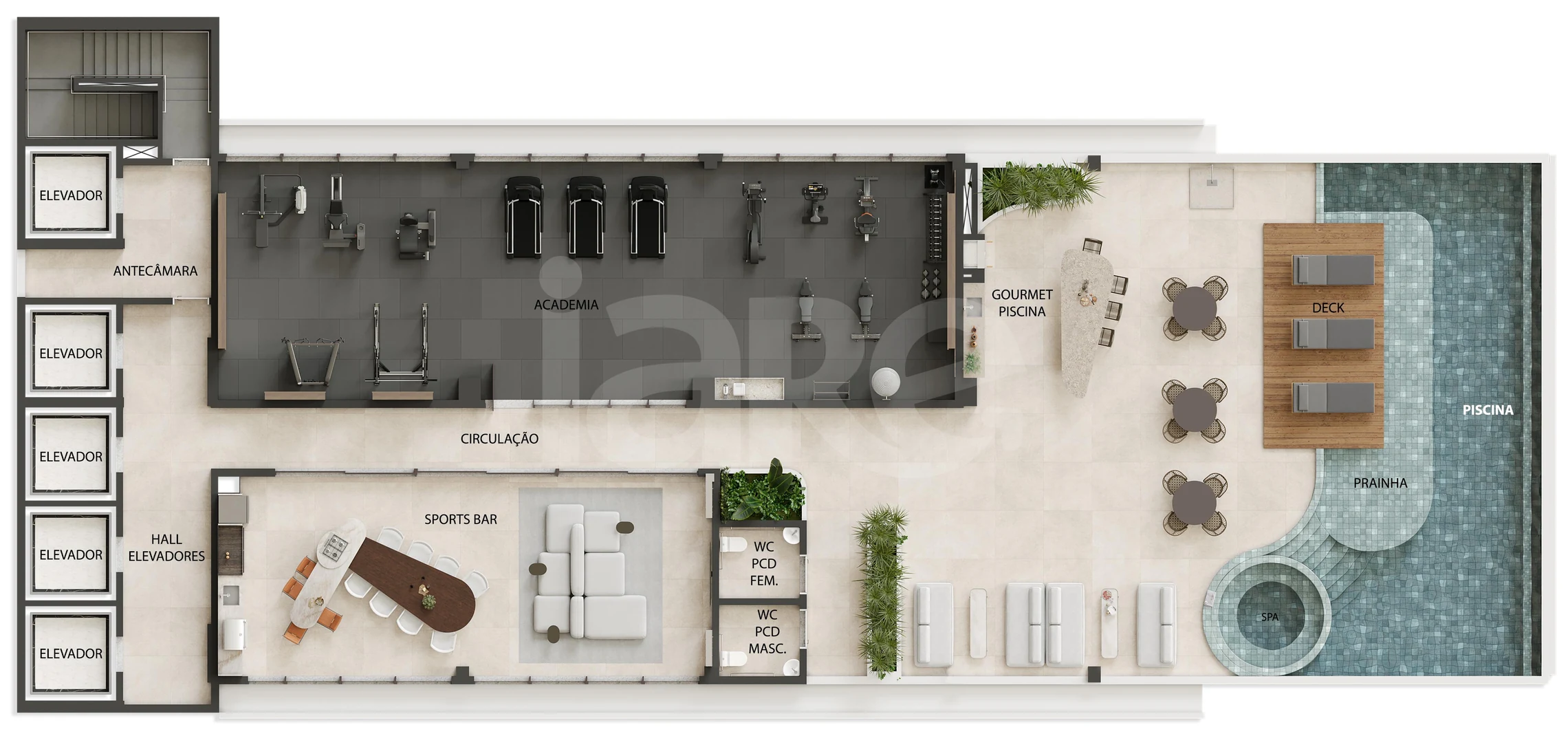 Planta — Pavimento rooftop