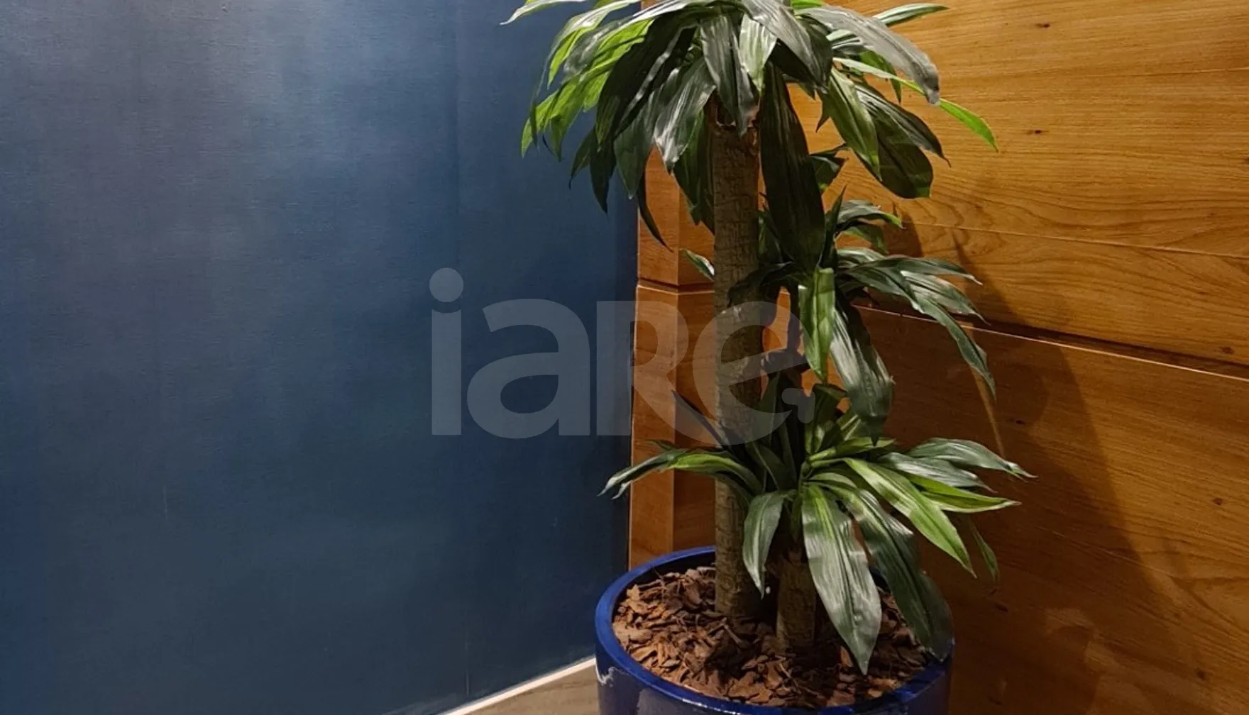 Grand Canal - Apartamento com 127,11 m², em Praia da Costa — foto 18