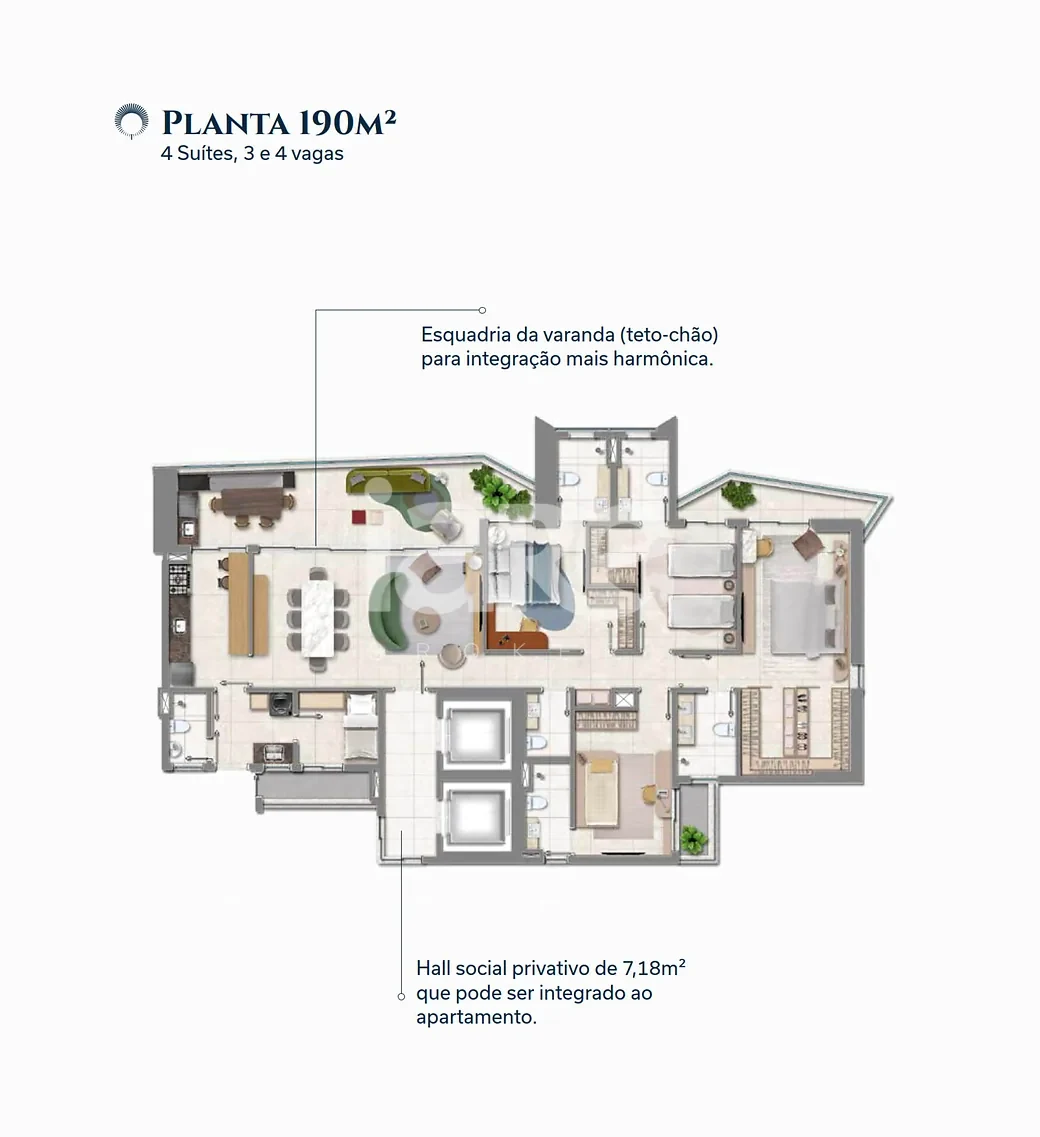 Planta — BS Rubi