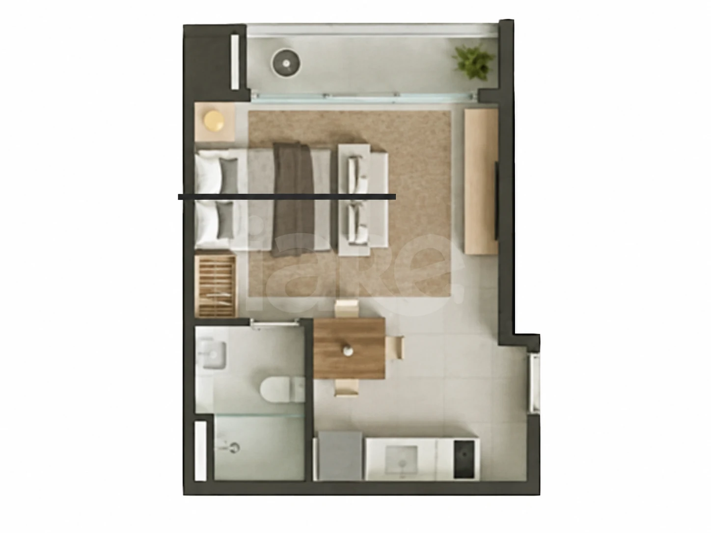 Planta — Studio